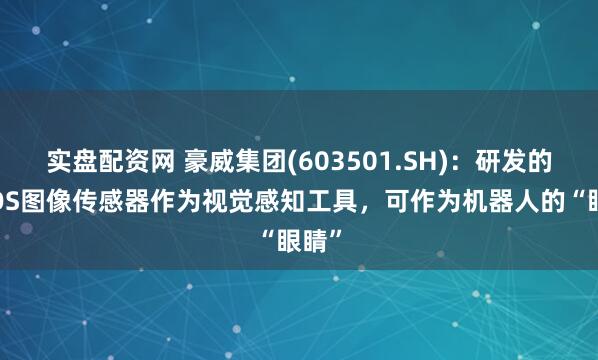 实盘配资网 豪威集团(603501.SH)：研发的CMOS图像传感器作为视觉感知工具，可作为机器人的“眼睛”
